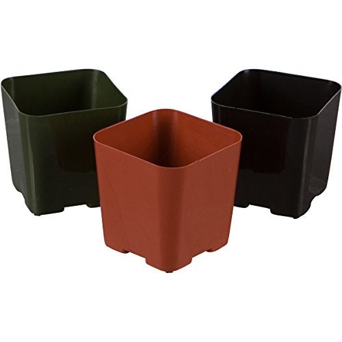 WH Garden Supply Pack of 2 Inch Plastic Flower Pots for Seedlings, or Succulents (100 Pots, Terracotta) - Image 4