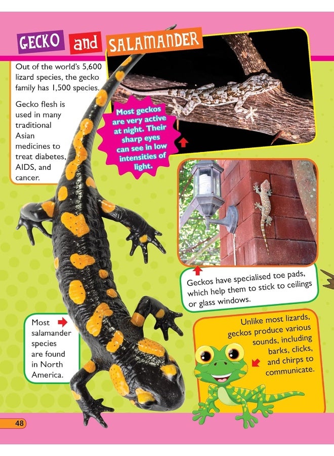 365 حقيقة عن الحيوانات والطيور - Image 4