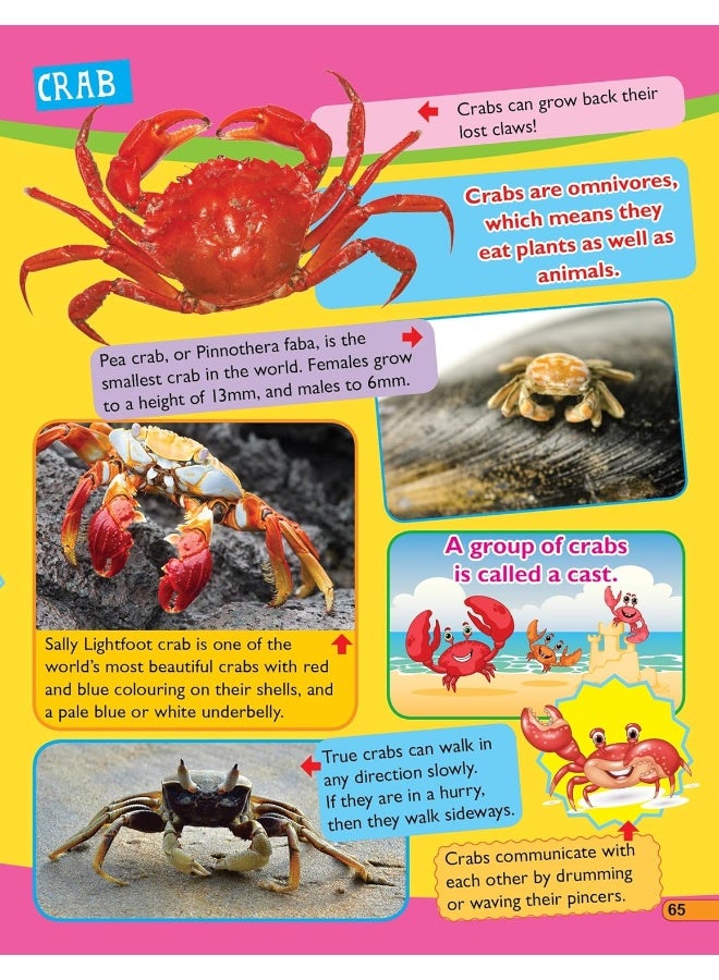 365 حقيقة عن الحيوانات والطيور - Image 5