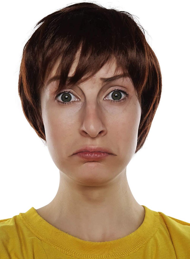 ALLAURA – Morty Costume Short Brown Wig Shaggy Costume Men, Mens Shaggy Wig 60s Wigs Mod Sonny Austin for Adults – Mens Halloween Wig - Image 1