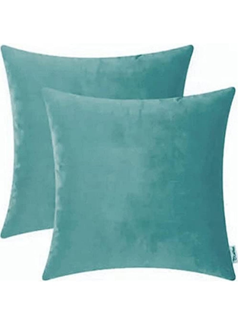 Plush Cushion Cover - 2-Piece Set