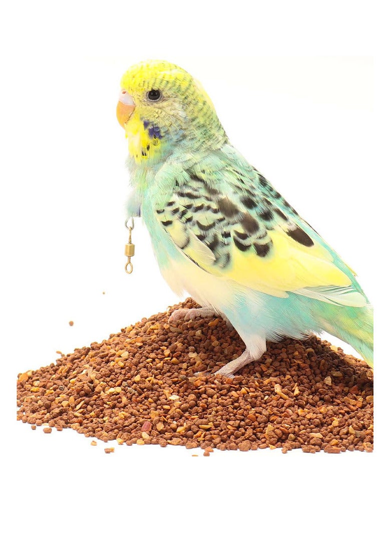 رمل طعام للطيور عالي الكالسيوم 500 جرام - Image 1