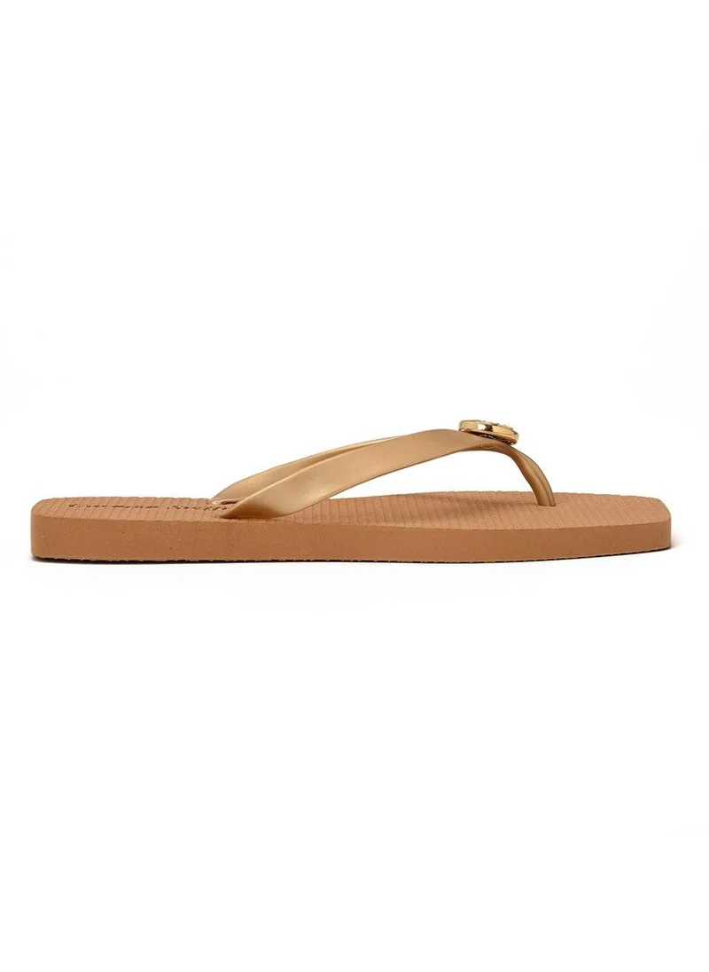 Carmen Steffens  Golden Flip-Flops for Women | Best Price UAE
