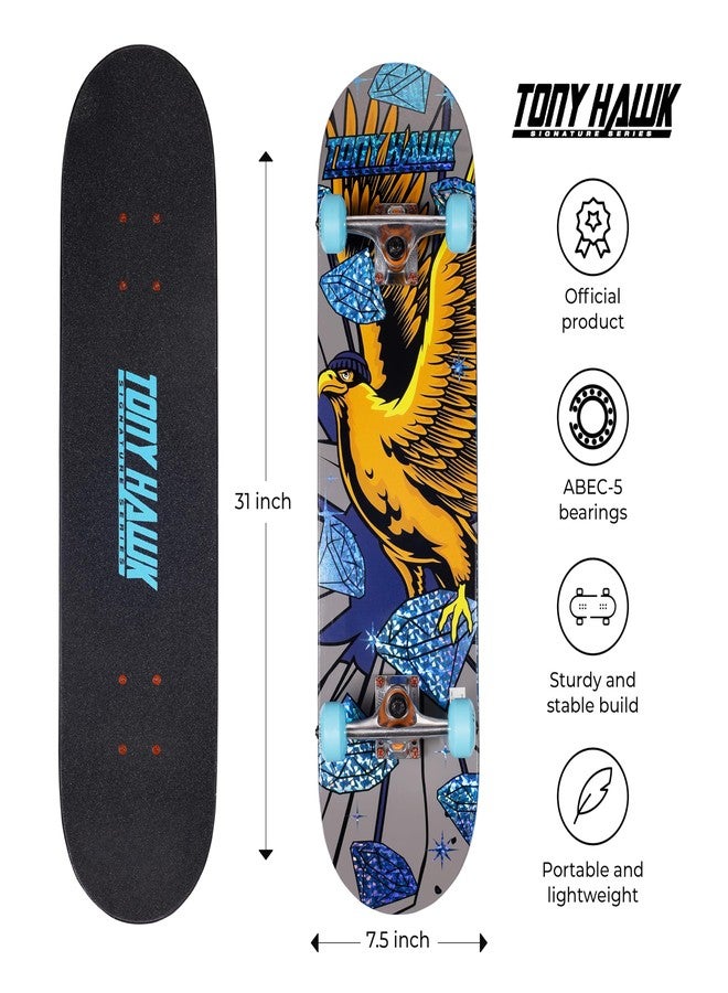 VOYAGER Tony Hawk - 31-Inch Signature Series 3 Skateboard with 9-Ply Maple Deck - Image 4