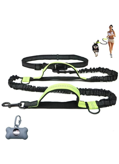 Neostyle Hands Free Shock Absorbing Elastic Dog Leash Green