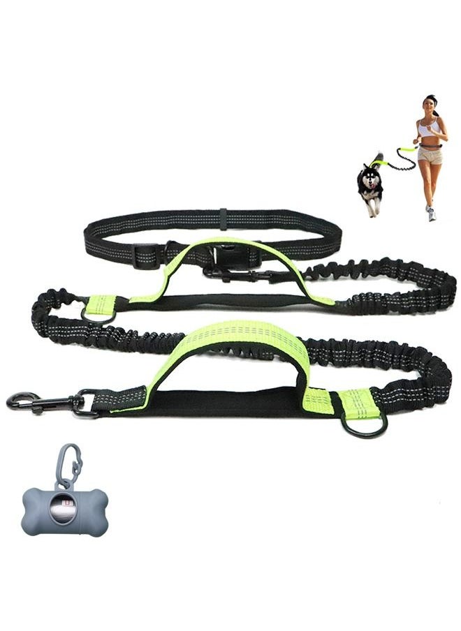 Neostyle Hands Free Shock Absorbing Elastic Dog Leash Green