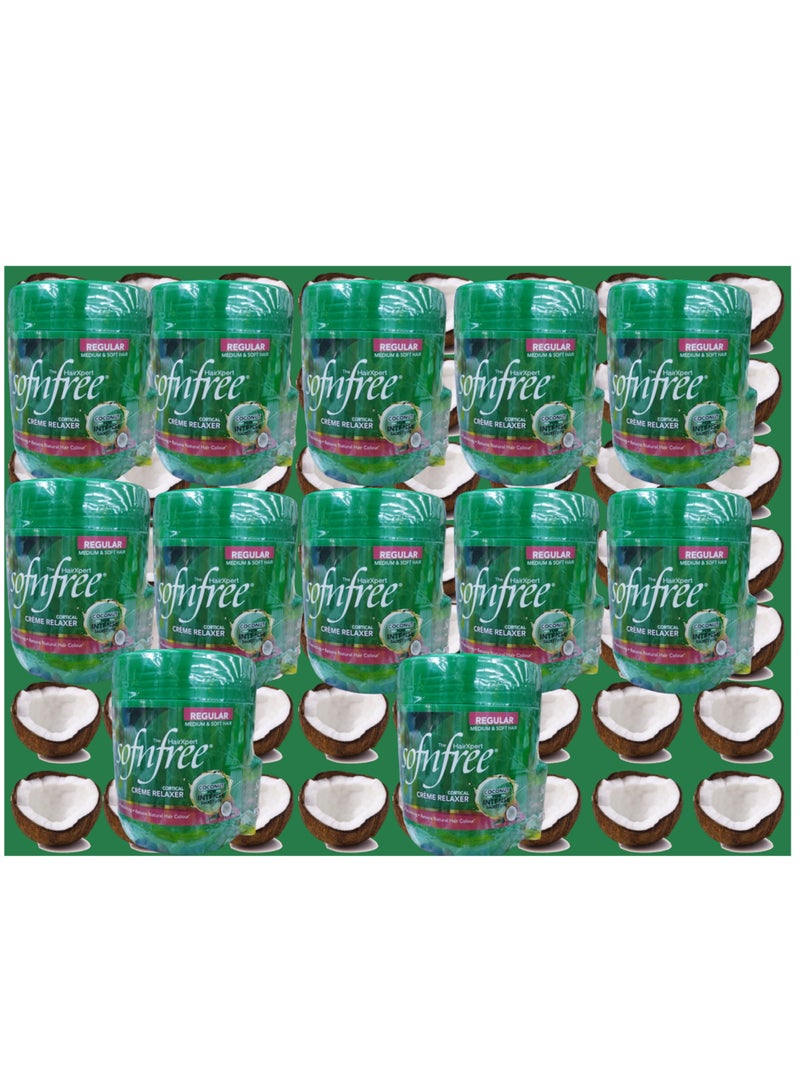 سوفن فري 12 قطع كريم فرد الشعر سوفن فري كورتيكال الجديد بجوز الهند اكثر تنعيم  450 مل - Image 1