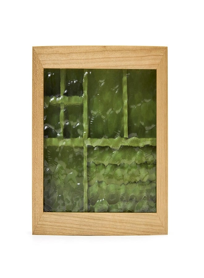 pandapark Wooden Jewelry Box with Glass Lid, Multi-Compartment Storage Display Case, Walnut Brown (Green Cherry) - Image 1