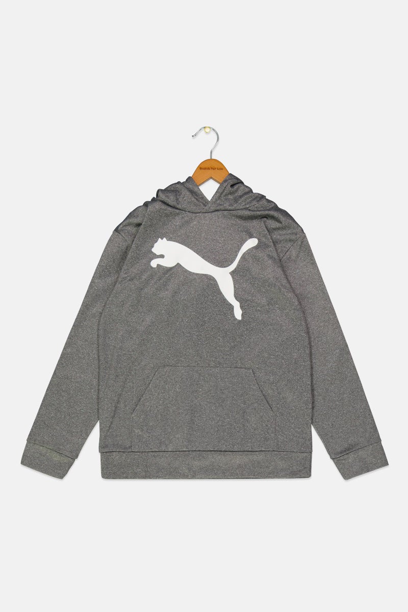 PUMA Kids Boy Sportswear Fit Long Sleeve Hoodies, Heather Grey - Image 1