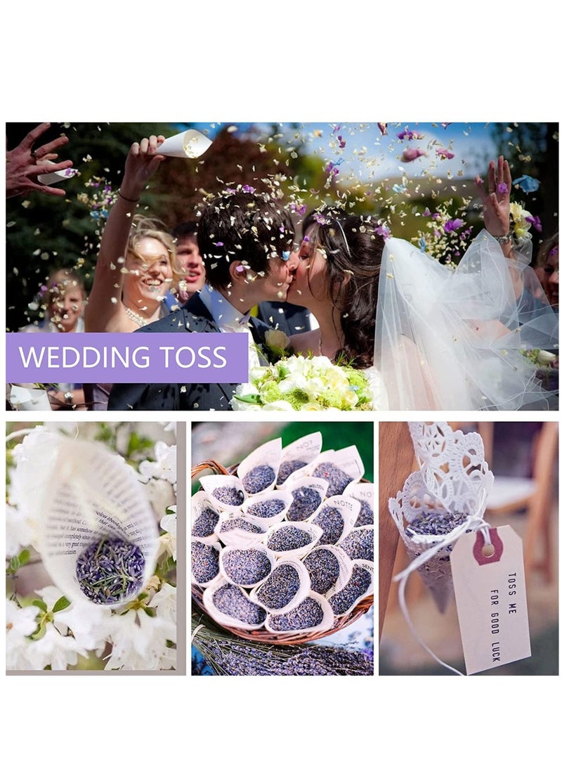 Captaintech 5A Lavender Sachet 10g 10pcs Natural Lavender Dried Flower Bag Scent Sachet Drawer Freshener Premium Grade Dried Lavender Deodorizer Freshener for Drawers and Closets Home Car Fragrance Product - Image 3