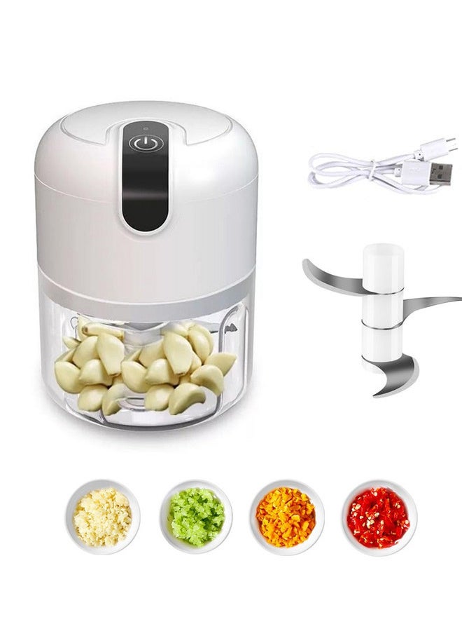 RANBEM Electric Mini Food Chopper, USB Rechargeable Vegetable Chopper & Chopper Electric with 3 Sharp Blades, 250ml Mixer Grinder Small for Garlic, Meat, Vegetables, Fruits & Baby Food - Image 1