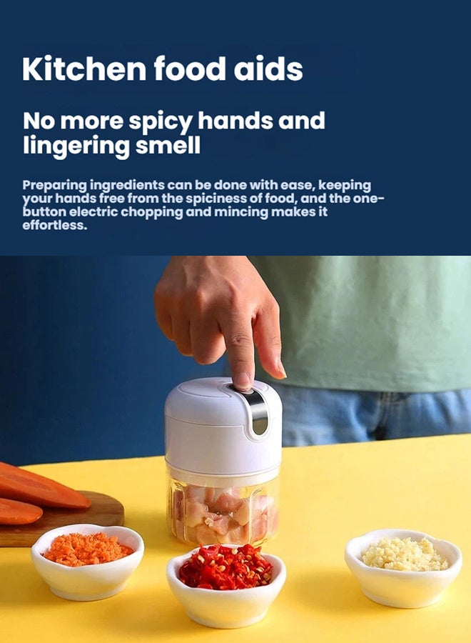 RANBEM Electric Mini Food Chopper, USB Rechargeable Vegetable Chopper & Chopper Electric with 3 Sharp Blades, 250ml Mixer Grinder Small for Garlic, Meat, Vegetables, Fruits & Baby Food - Image 2