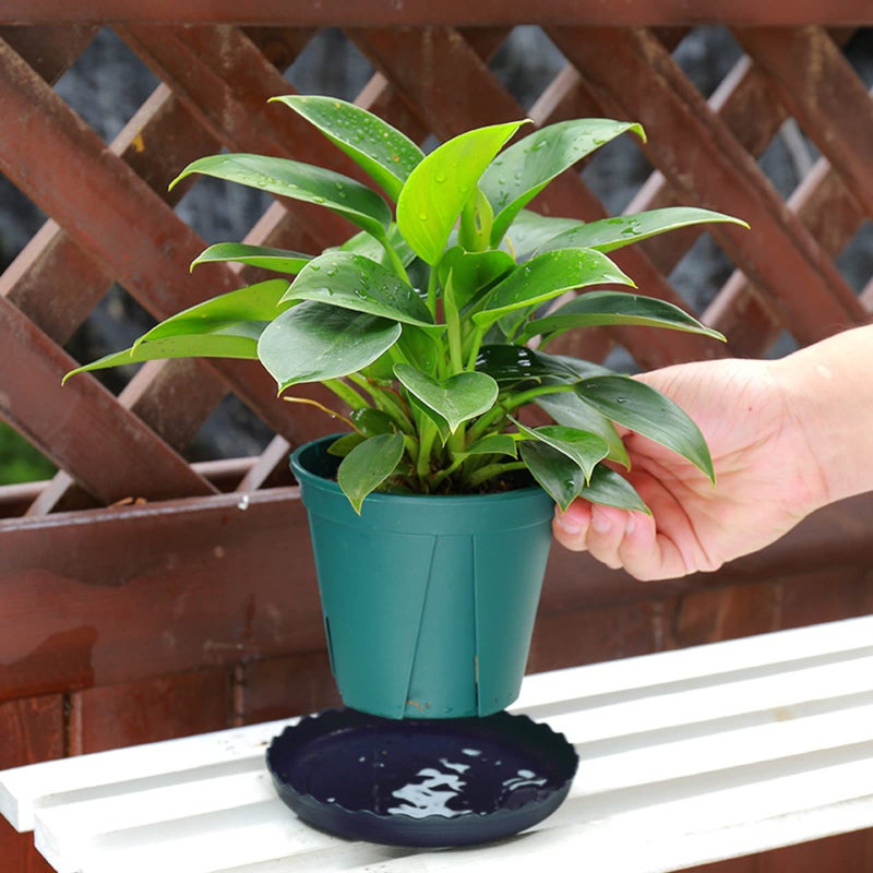 ECOESPTI 12Pcs Plant Saucer, 6 8 10 Inch Durable Plastic Plant Tray, Black Round Plant Pot Saucers, Drip Tray for Indoor and Outdoor Garden - Image 4