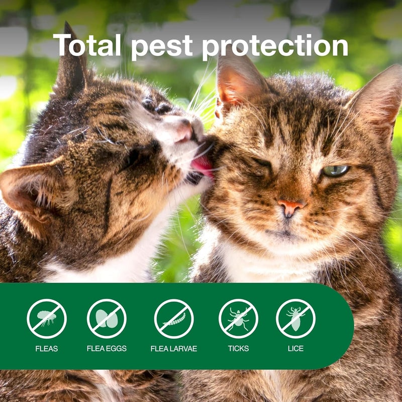 Advantage Cat Flea Treatment Spray | Kills Fleas & Ticks | Cat Flea Spray | 8 oz. - Image 3