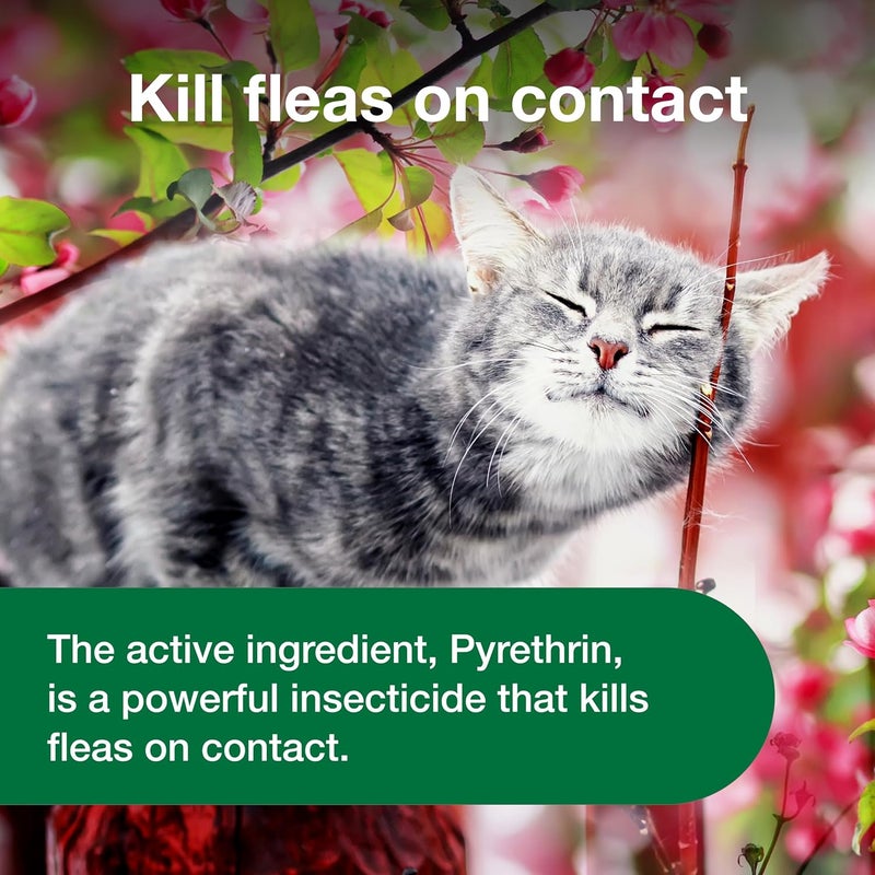 Advantage Cat Flea Treatment Spray | Kills Fleas & Ticks | Cat Flea Spray | 8 oz. - Image 4