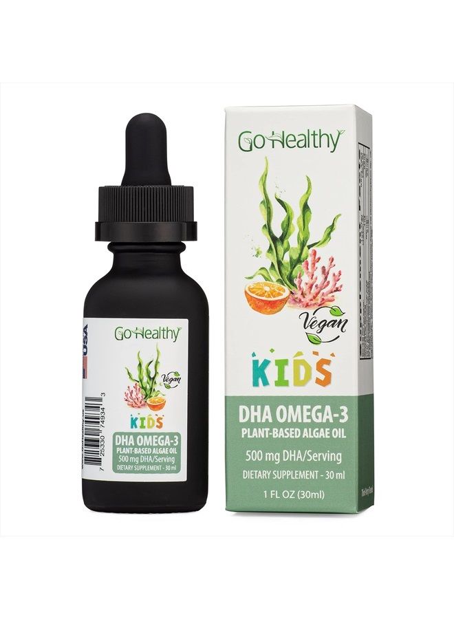 Go Healthy Natural Go Healthy DHA Omega 3 for Kids, Toddlers & Infants - Vegan Fish Oil Alternative, Orange Flavor, 30-60 Servings - Image 1