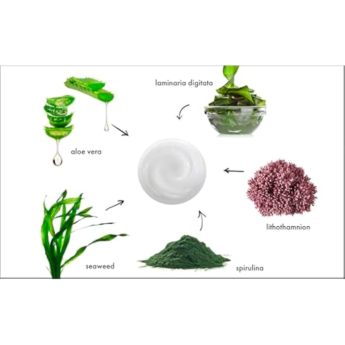 Raya Ultra-Light Seaweed Cream (304) | Anti-Aging Moisturizer for Oily, Break-Out Skin | Hydrating Face Cream Reduces Fine Lines, Wrinkles | Best Facial Moisturizer for Dry, Aging Skin | Controls Oil - Image 2