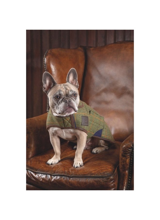 Digby and Fox Tweed Dog Coat Medium - pzsku/Z0FC74E7C7C0955B29414Z/45/_/1737031894/f8778d46-8cb7-41b1-9fc9-b9ba9e71f7b7