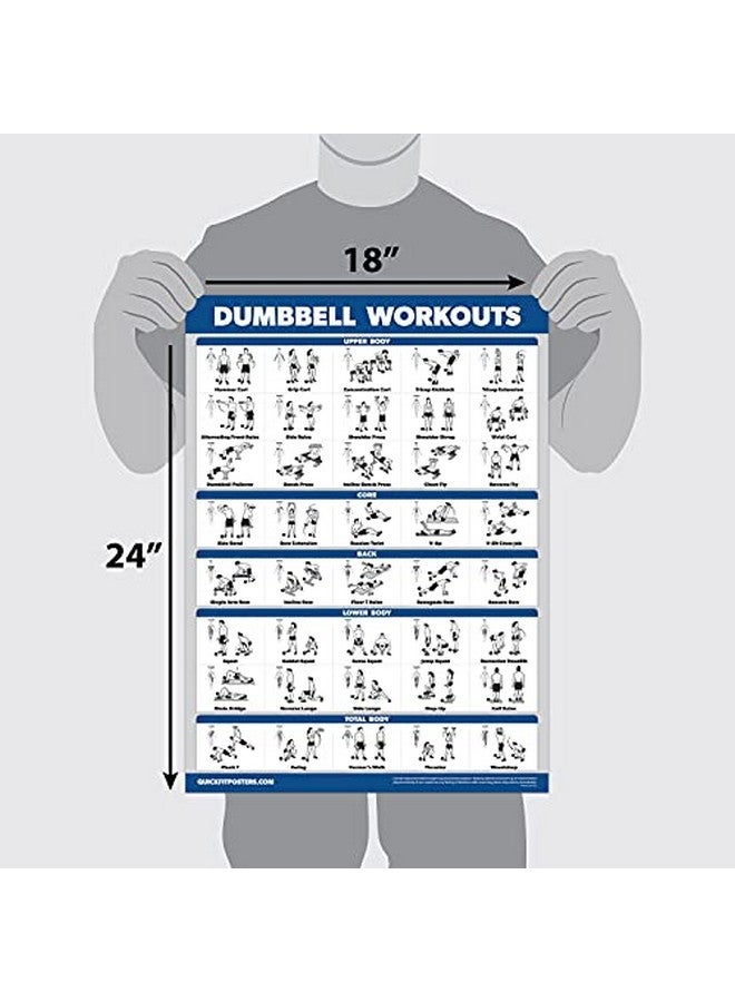 Palace Learning 4 Pack - Dumbbell Workouts + Bodyweight Workouts + Stretching Exercises + Resistance Loops - Set of 4 Workout Charts (18” x 24”, LAMINATED) - Image 2