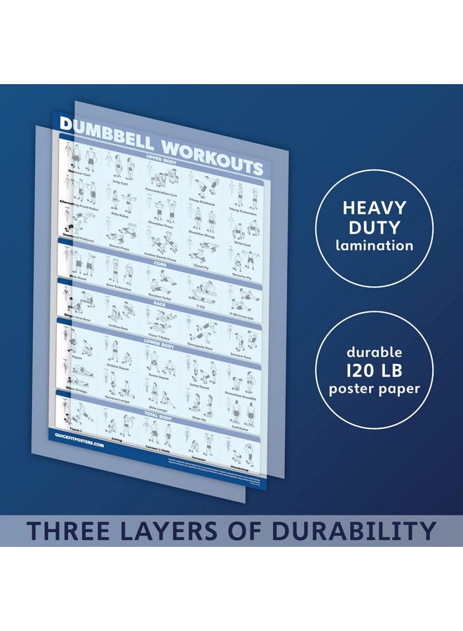 Palace Learning 4 Pack - Dumbbell Workouts + Bodyweight Workouts + Stretching Exercises + Resistance Loops - Set of 4 Workout Charts (18” x 24”, LAMINATED) - Image 3