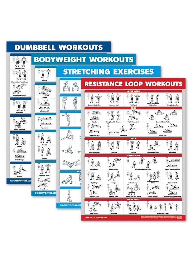 Palace Learning 4 Pack - Dumbbell Workouts + Bodyweight Workouts + Stretching Exercises + Resistance Loops - Set of 4 Workout Charts (18” x 24”, LAMINATED) - Image 1