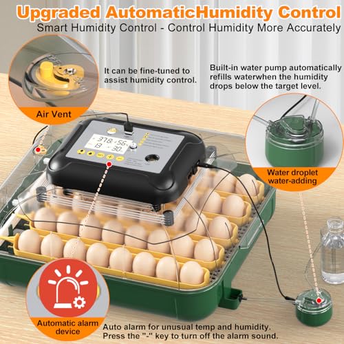 DETODDA 30 Egg Incubator for Hatching Eggs with Auto Egg Turning, High Precision Temperature & Humidity Display, Hatch Day, Egg Candler, Upgraded Motor, Incubator for Hatching Chickens, Higher Hatch Rate - Image 5