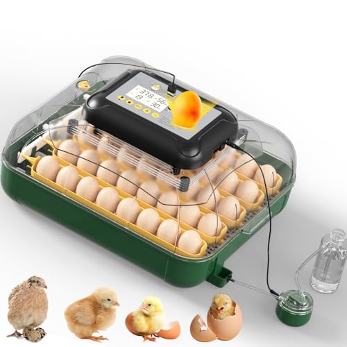 DETODDA 30 Egg Incubator for Hatching Eggs with Auto Egg Turning, High Precision Temperature & Humidity Display, Hatch Day, Egg Candler, Upgraded Motor, Incubator for Hatching Chickens, Higher Hatch Rate - Image 1