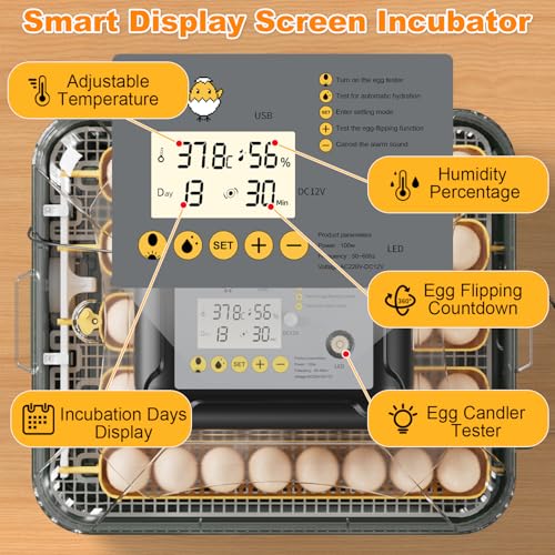 DETODDA 30 Egg Incubator for Hatching Eggs with Auto Egg Turning, High Precision Temperature & Humidity Display, Hatch Day, Egg Candler, Upgraded Motor, Incubator for Hatching Chickens, Higher Hatch Rate - Image 3