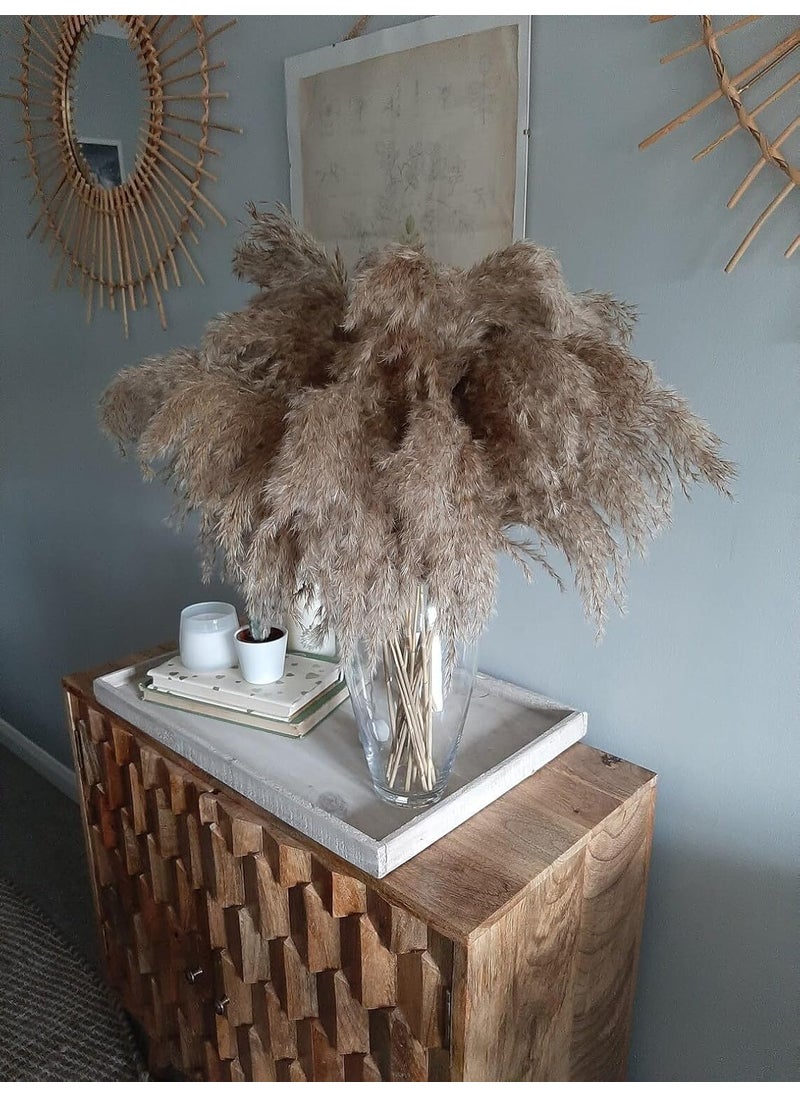 Sorcish Sorcish Natural Pampas Grass Large 20 inch aprx Tall Dried Flowers Bunch Fluffy Grass for Donut Vase Stems Plant Floor Vase Filler for Home DecorOfficeBedroomTable Corner DecorationPack of 12 