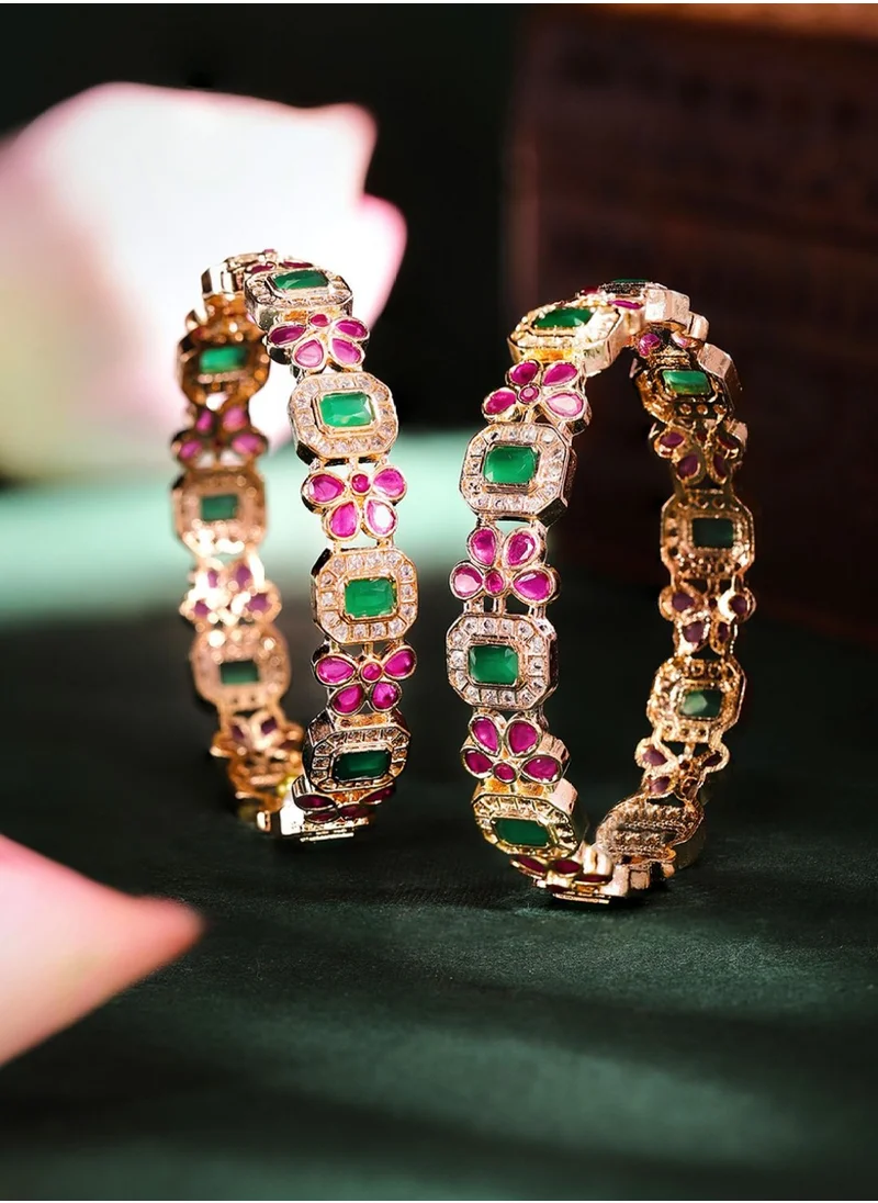 Priyaasi Set Of 2 Plated Stone-Studded Bangles