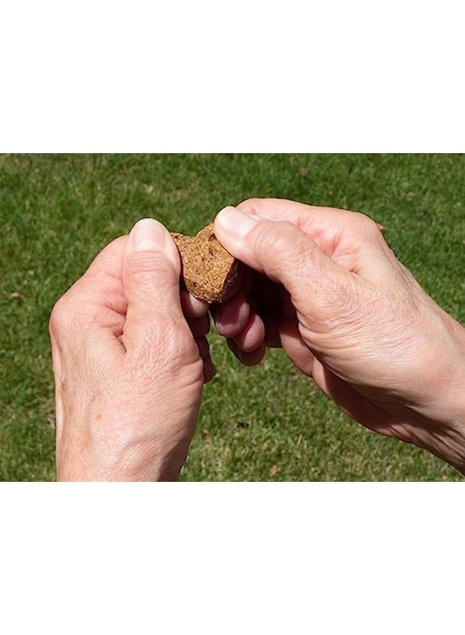 دارفورد وصفة سمك السلمون المشوي Zero/G - مكافآت الكلاب الصغيرة، 12 أونصة - Image 4