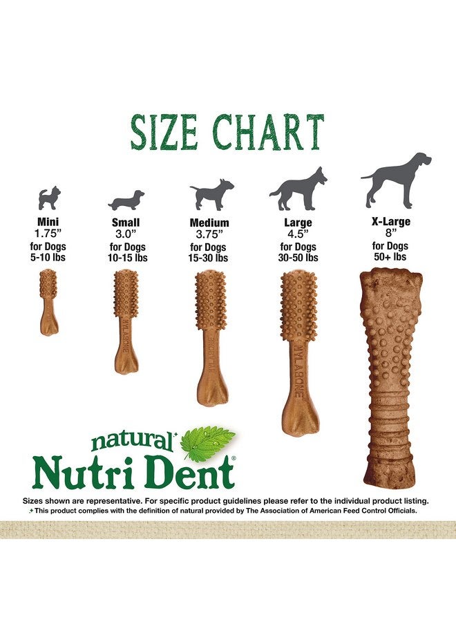 Nylabone Nutri Dent Dog Dental Chews, Natural Teeth Cleaning Dental Treats & Breath Freshener for Dogs, Filet Mignon Flavor, Medium (40 Count) - Image 4