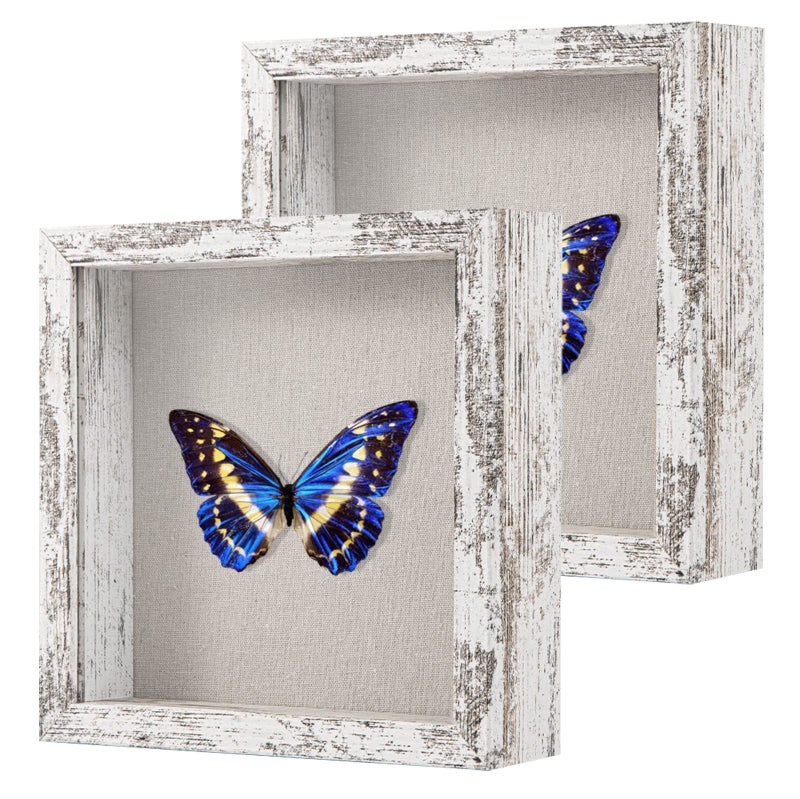2 Packs 8x8 Shadow Box Frame with Linen Back - Sturdy Rustic Memory Display Case of Flower  Pictures  Medals and More  Distressed White