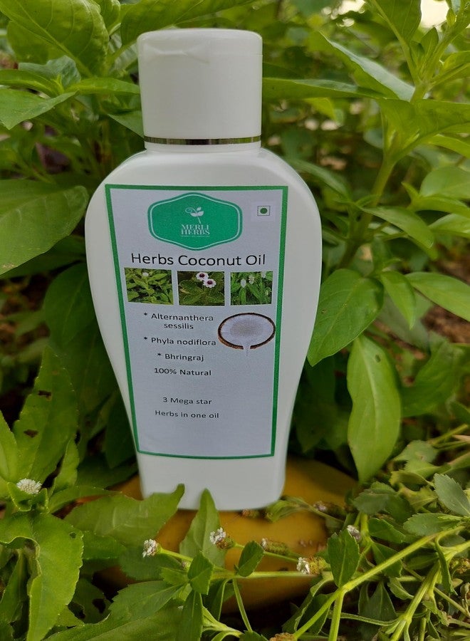 MERLI HERBS زيت شعر طبيعي 100% مصنوع يدويًا، 200 مل، مضاد لتساقط الشعر، مضاد للقشرة، تركيبة أيورفيدية مغذية مع 3 أعشاب فعالة لنمو شعر صحي للنساء والرجال - Image 3