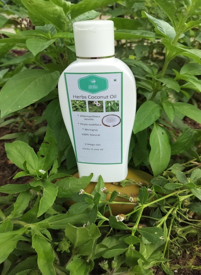 MERLI HERBS زيت شعر طبيعي 100% مصنوع يدويًا، 200 مل، مضاد لتساقط الشعر، مضاد للقشرة، تركيبة أيورفيدية مغذية مع 3 أعشاب فعالة لنمو شعر صحي للنساء والرجال - Image 4