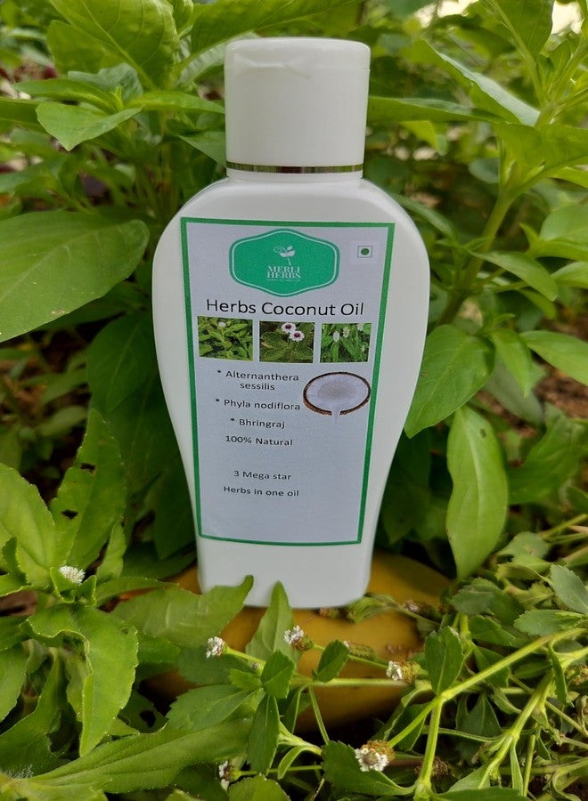 MERLI HERBS زيت شعر طبيعي 100% مصنوع يدويًا، 200 مل، مضاد لتساقط الشعر، مضاد للقشرة، تركيبة أيورفيدية مغذية مع 3 أعشاب فعالة لنمو شعر صحي للنساء والرجال - Image 1