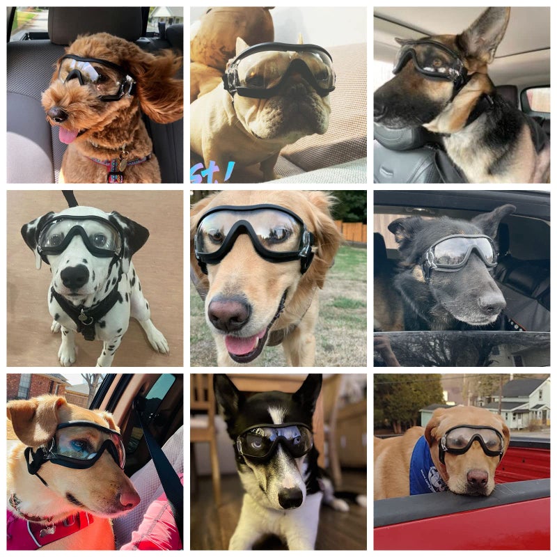 NAMSAN Dog Sunglasses Medium to Large Dog UV Transparent Goggles Windproof Anti-Dust Snowproof Pet Glasses with Elastic Straps, Clear - Image 2