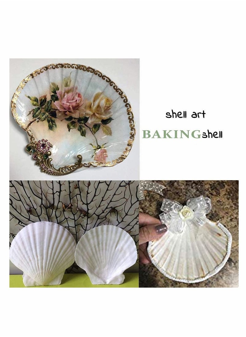 KASTWAVE - Scallop Shells for Serving Food, 6PCS Baking Shells Large White Natural Seashell from Sea Beach for DIY Craft Mermaid Beach Wedding Home Decoration (10-13cm) - Image 1