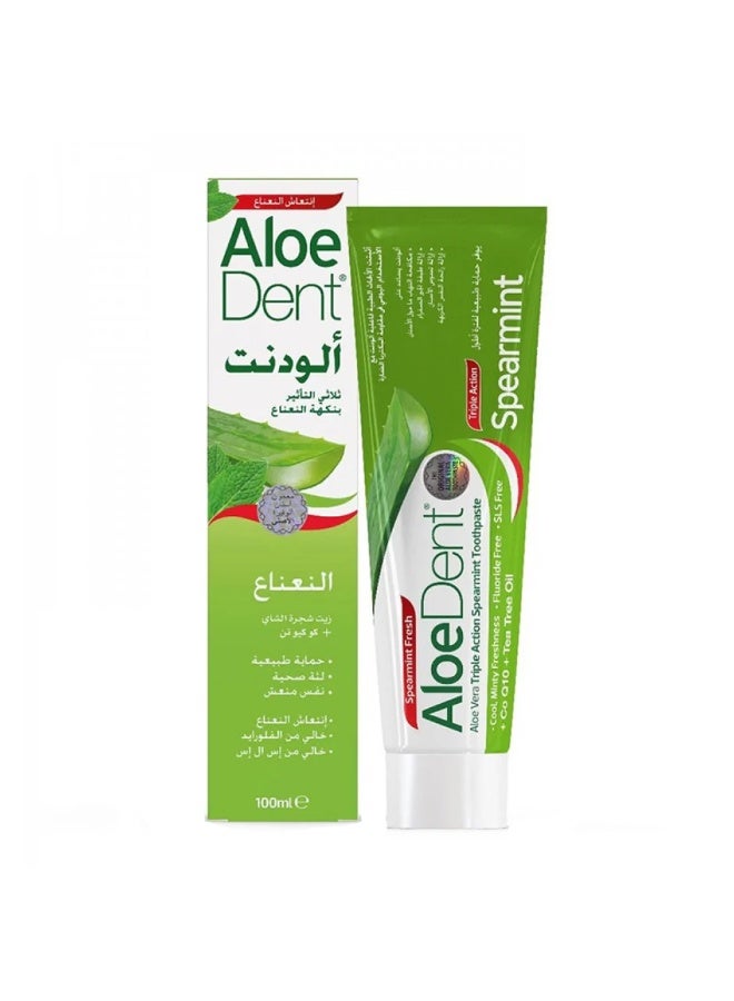 Aloedent Toothpaste Spearmint, 100 ml