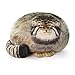 Sew Butiful Pallas Cat Stuffed Animal 45cm18inch Steppe Cat Plush Cute Plushies for GirlsKitten Soft Plush Throw Pillow Doll Big Plush Toy Decoration Doll Gift for Kids Boys Girls Birthday Christmas - Image 4