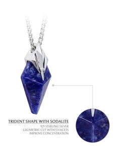 AWNL Men's Necklace Sodalite Poseidon Trident Pendant with Stainless Steel Chain Natural Gemstone Gift for Men Boyfriend Husband  - Image 4