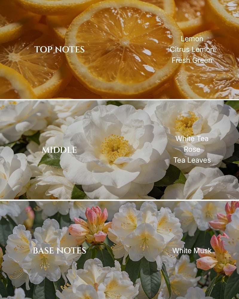 Aromadd White Tea Diffuser Oil Inspired by Luxury Hotel Scent, Premium Fragrance Oils for Waterless Diffuser, White Tea & Bergamot, Long-Lasting Home Fragrance - 3.38 fl oz (100 mL) - Image 2