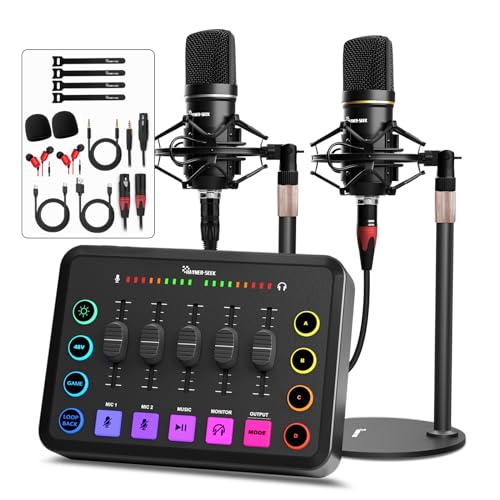 Hayner-Seek Podcast Equipment Bundle for 2, RGB Audio Interface with XLR Condenser Microphone, and 3.5mm Mic, Mute,48V Phantom Power for Streaming,Gaming,Recording-Black (H1) - Image 1