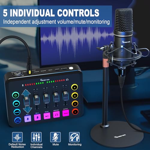 Hayner-Seek Podcast Equipment Bundle for 2, RGB Audio Interface with XLR Condenser Microphone, and 3.5mm Mic, Mute,48V Phantom Power for Streaming,Gaming,Recording-Black (H1) - Image 5