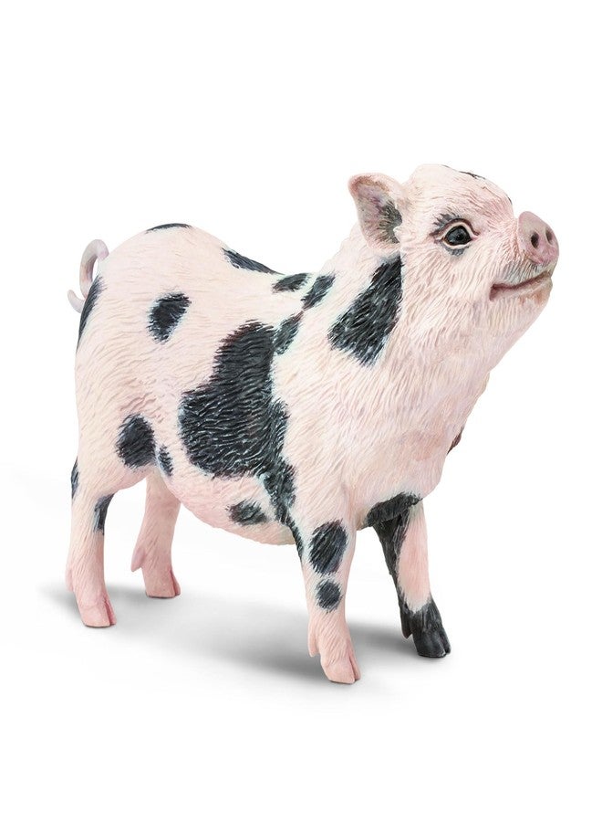 Toob Safari Ltd. Pot-Bellied Pig Figurine - Detailed 5.25" Model Figure - Educational Toy for Boys, Girls, and Kids Ages 18M+ - Image 2