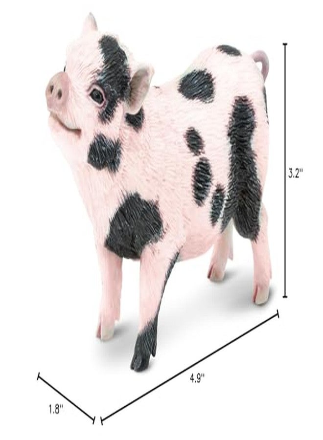 Toob Safari Ltd. Pot-Bellied Pig Figurine - Detailed 5.25" Model Figure - Educational Toy for Boys, Girls, and Kids Ages 18M+ - Image 4