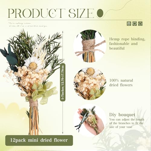 Layhit 12 Pack Boho Dried Flower Bouquet Mini Wedding Handmade Dry Flowers Decor for Vase Crafts DIY Photo Boutonniere for Men Floral Plant for Bridesmaid Gift Birthday Decor - Image 2