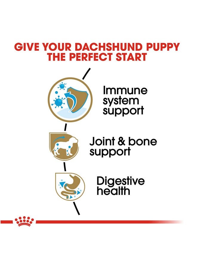 رويال كانين طعام الكلاب الجاف المخصص لسلالة داشهند من رويال كانين، كيس 2.5 رطل - Image 3