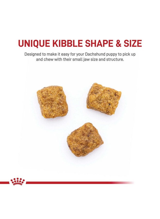 رويال كانين طعام الكلاب الجاف المخصص لسلالة داشهند من رويال كانين، كيس 2.5 رطل - Image 2