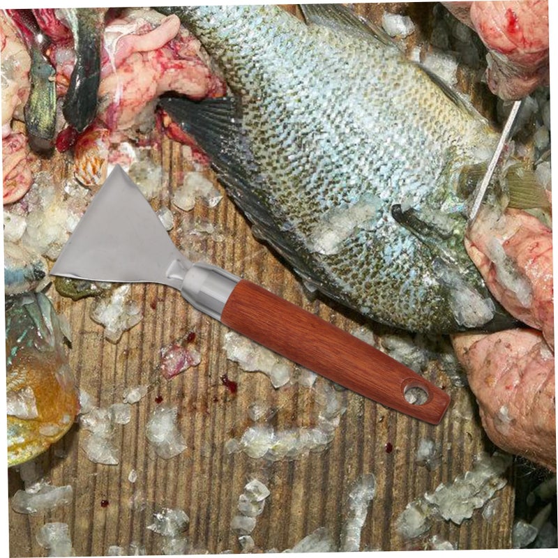 Stainless Steel Fish Scaler Tool Portable Seafood Oyster Shucker Scales Remover - Image 5